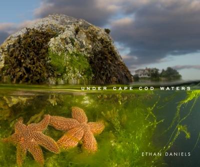 under cape cod waters