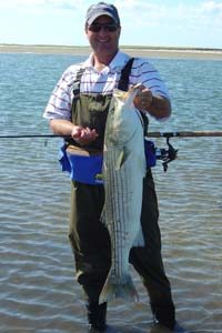 Big Striper