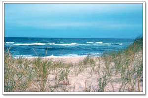 best cape cod beach