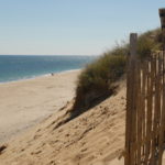 cape cod beaches in eastham