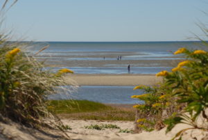 first encounter beach