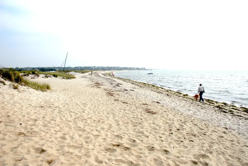 cape cod beaches in harwich