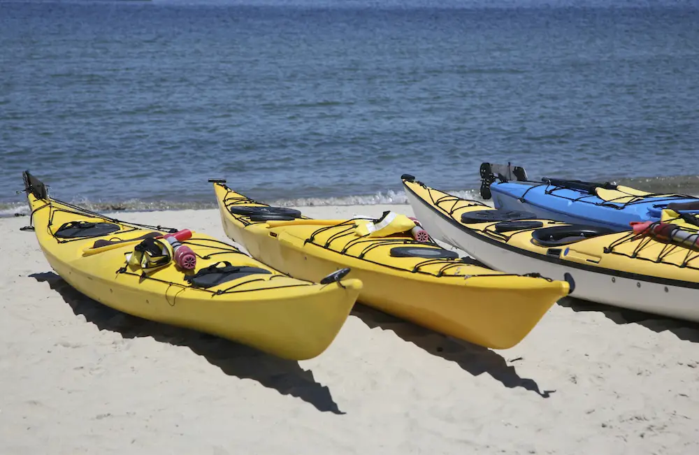 cape cod kayaking