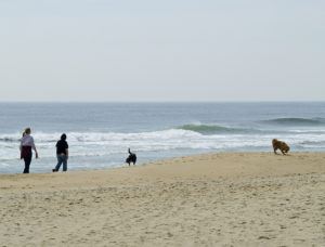 race point beach