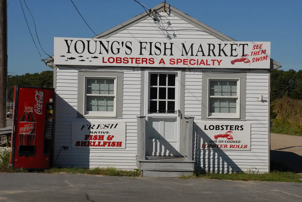 youngs fish market