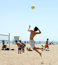 cape cod beach volleyball