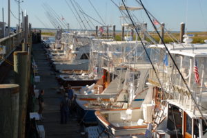 cape cod charter fishing boats