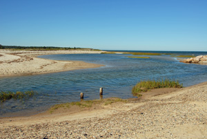 paines creek high tide