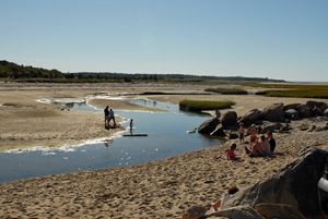 paines creek low tide