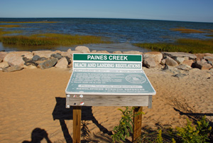 cape cod beaches in brewster