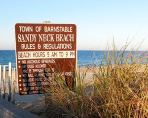 cape cod beaches in sandwich