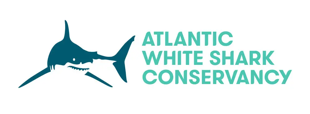 Atlantic White Shark Conservatory logo