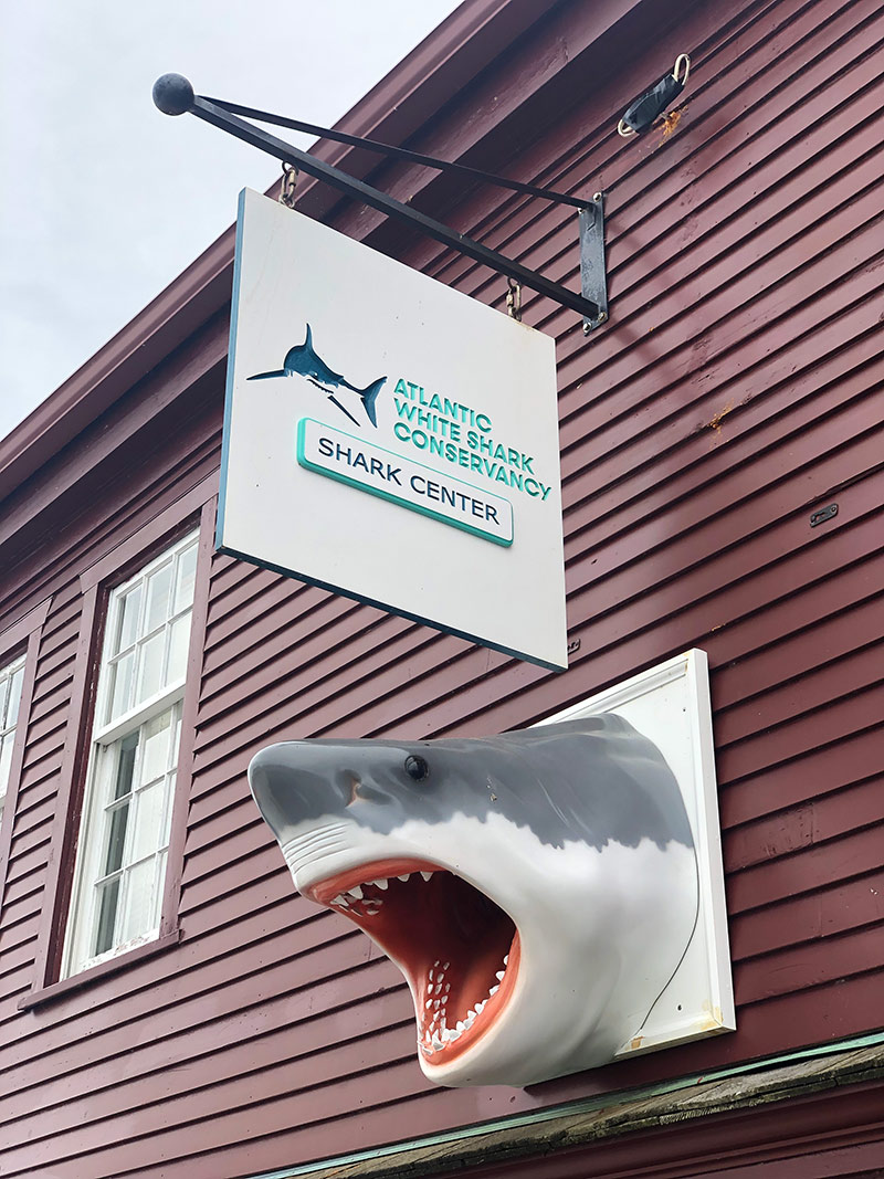 A sign and shark head mark the Provincetown AWSC Shark Center. 