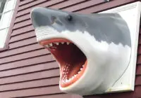 A shark's head marks the AWSC Provincetown Shark Center.