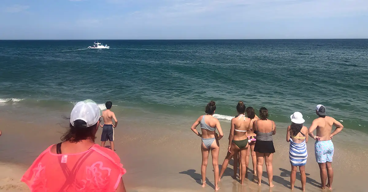 A white boat tracks a great white shark off the shore at Nauset Beach in Orleans, MA.